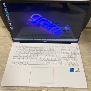 LG그램노트북 15Z95N-GRWWL (i5-11세대)