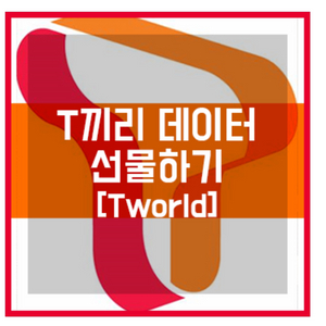 skt 데이터 1G