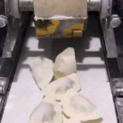 만두기계 생산라인