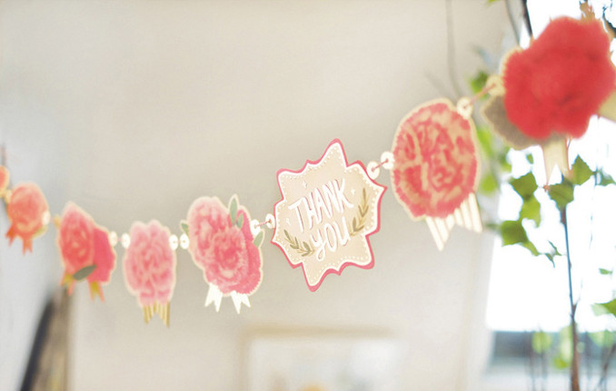 카네이션가랜드--1