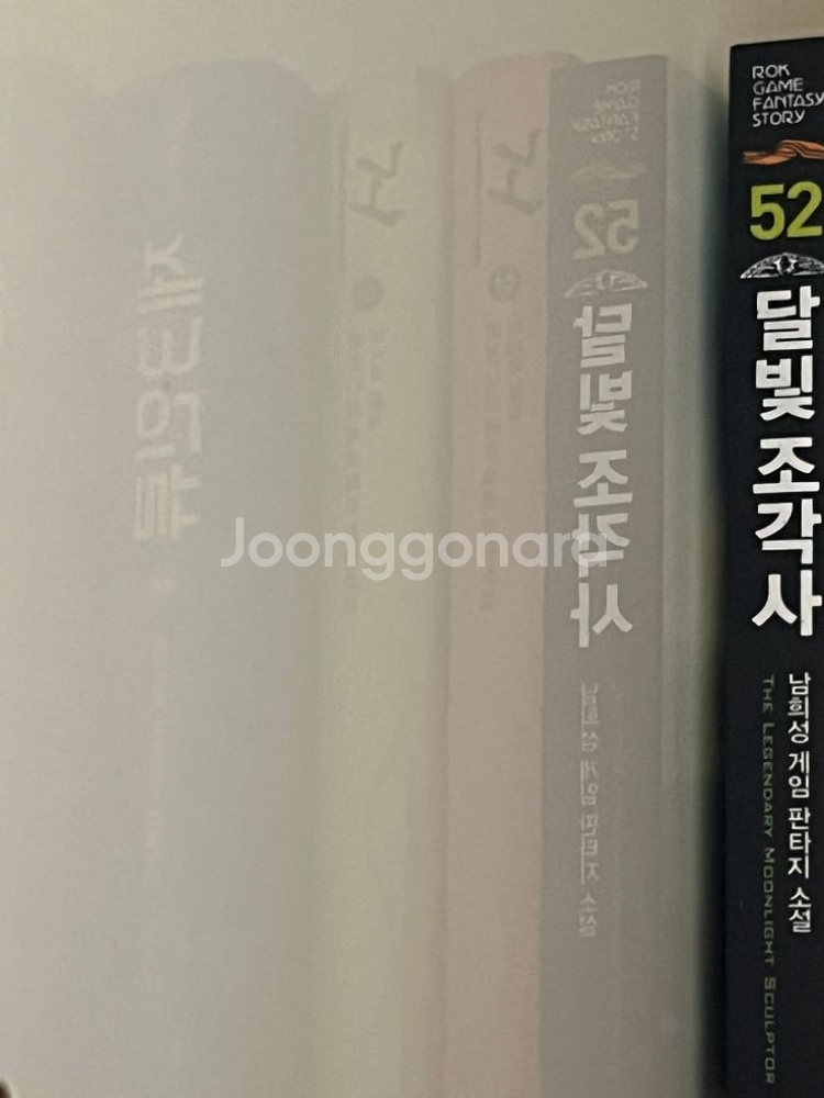 달빛조각사(소설) 17-52--2