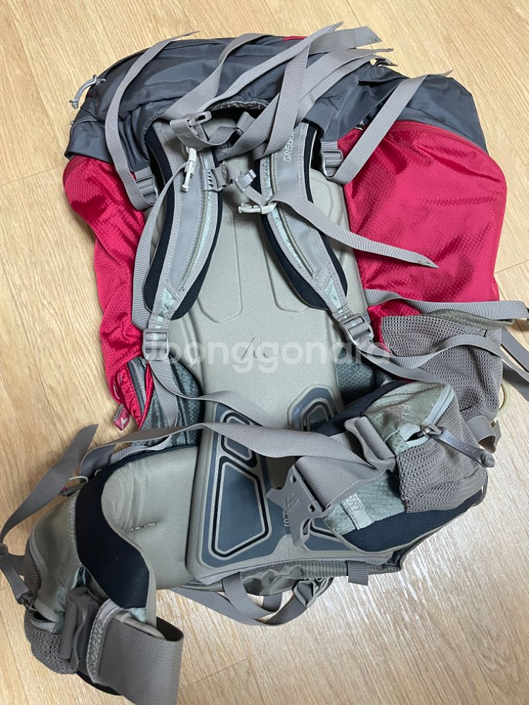 그레고리 데바 DEVA 70 ws 여성용--2