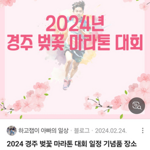 경주벚꽃마라톤 남자하프 삽니다