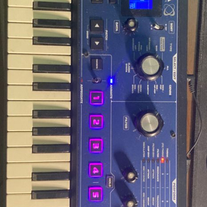 Novation Mininova 노베이션 미니노바