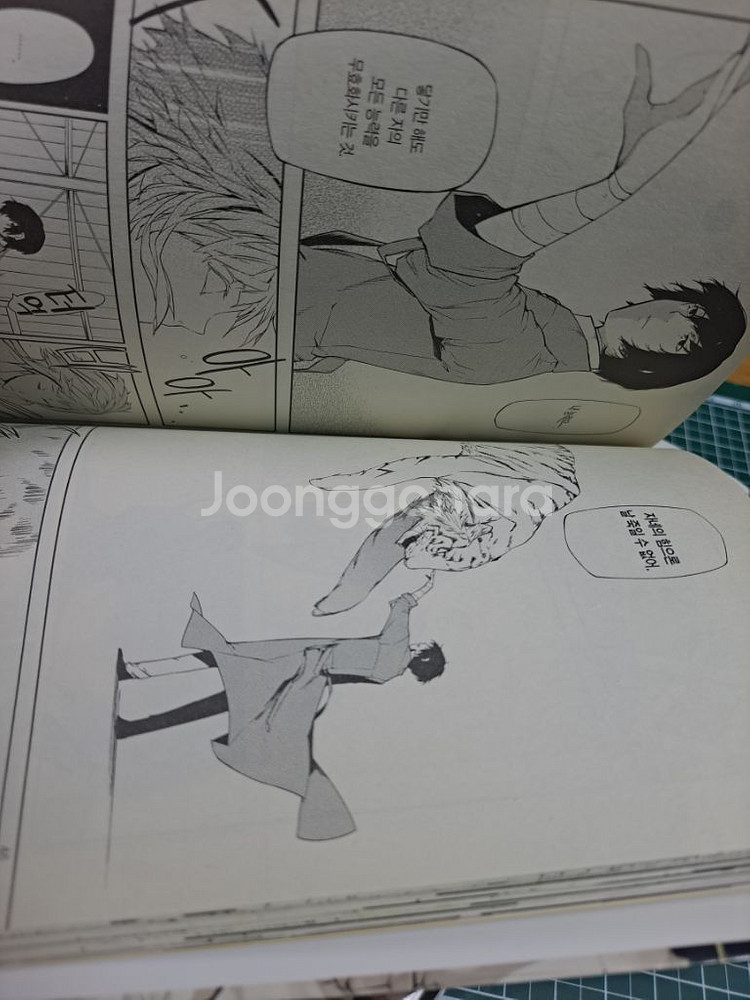 문호 스트레이독스(문스독) 만화책 1,2권--2