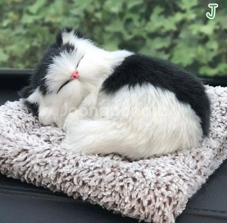 새상품 잠자는 강아지,고양이 자동차 탈취제--1