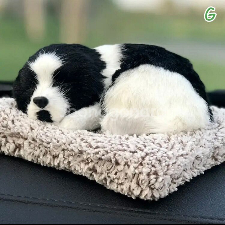 새상품 잠자는 강아지,고양이 자동차 탈취제--2