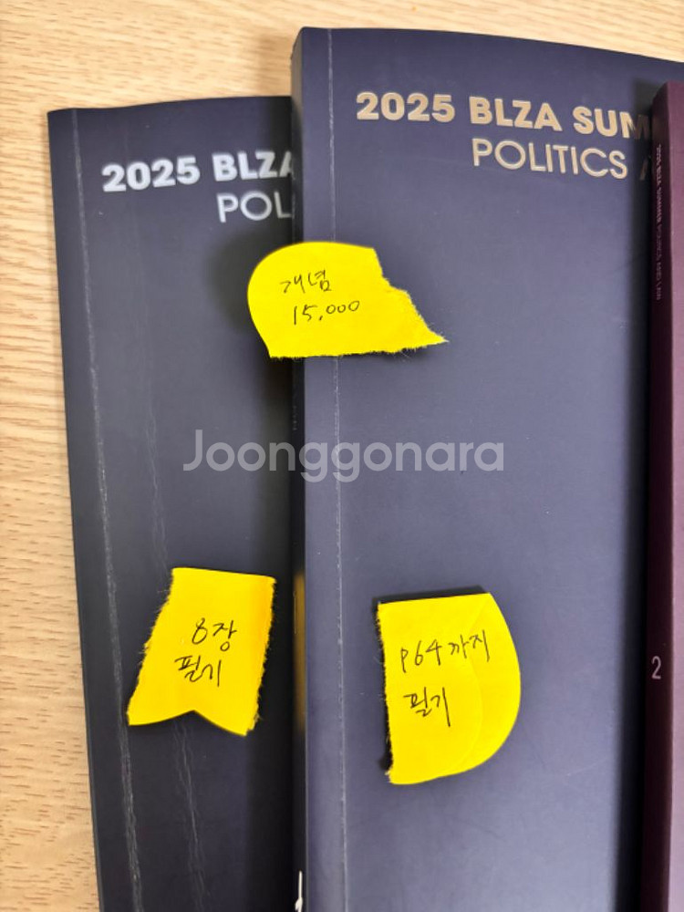 2025 대성마이맥 최여름t 정치와 법 교재--1