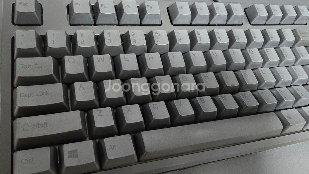 리얼포스 r2 일반 55g--2