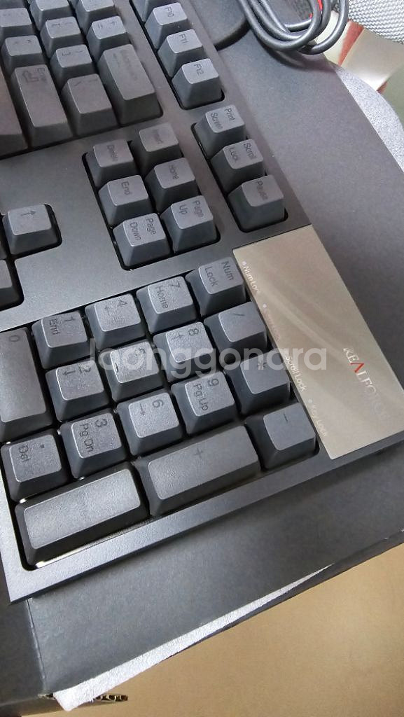 리얼포스 r2 일반 55g--1