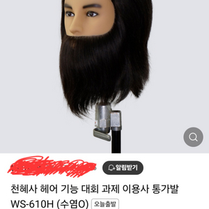 천혜사 남자 통가발