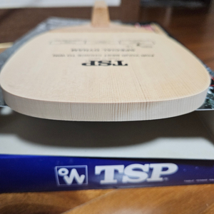 95.1g TSP 다이남스페셜 초기형 펜홀더 탁구라켓