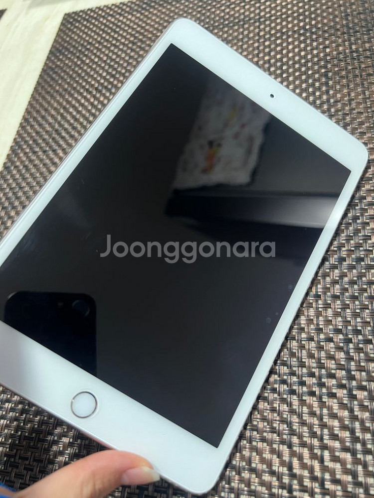 iPad mini 4 64G--1