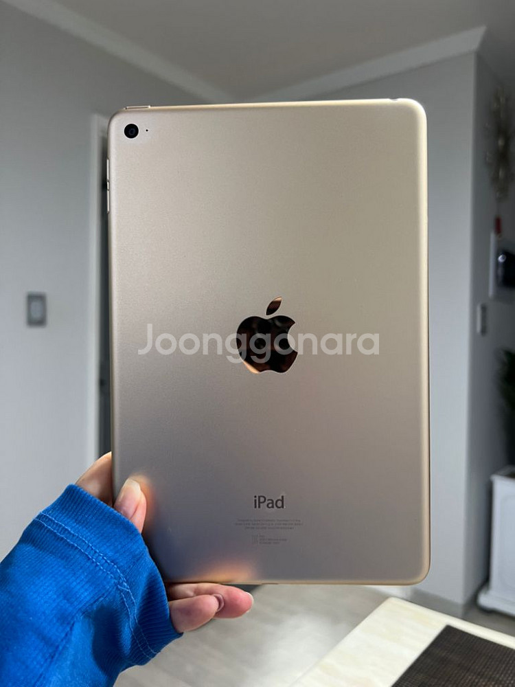 iPad mini 4 64G--7