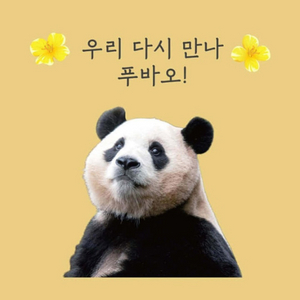 인덱스노트, 후이 그립톡, 목걸이 구해보아요