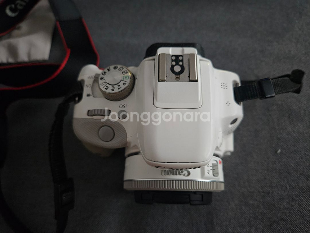캐논 100d + 22mm 화이트--5