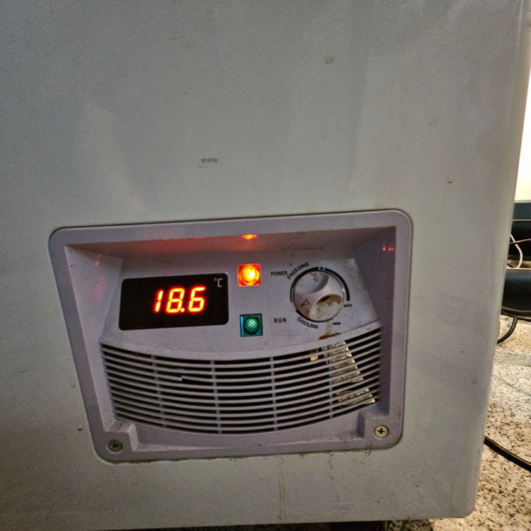 씽씽코리아 다목적냉동고 BD-498 업소용냉동고--3