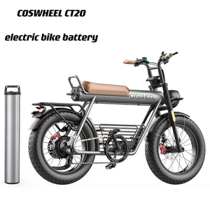 코스휠 CT20 전기자전거 전용배터리 새상품