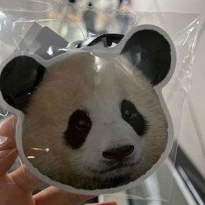 푸바오 네임택 구함