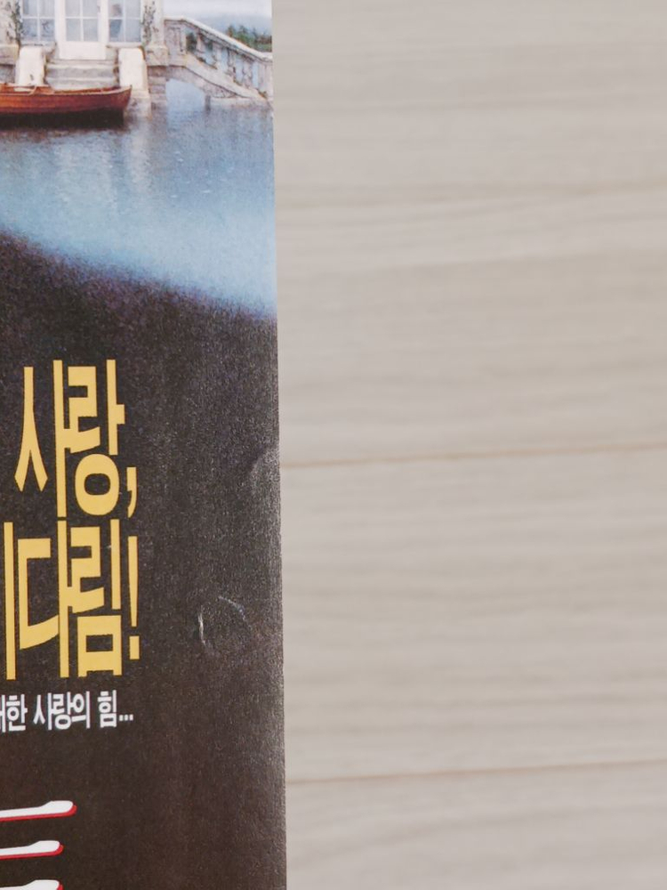 영화전단지 소피마르소 파이어라이트(1997) 이미지