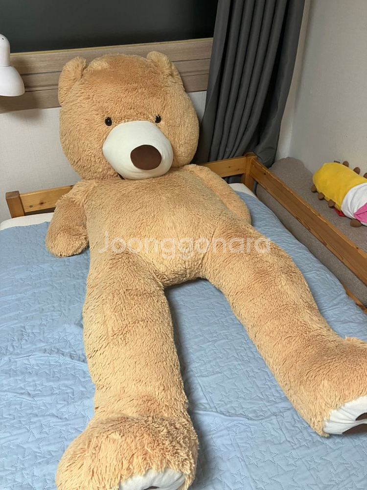 초댜형 곰인형--2
