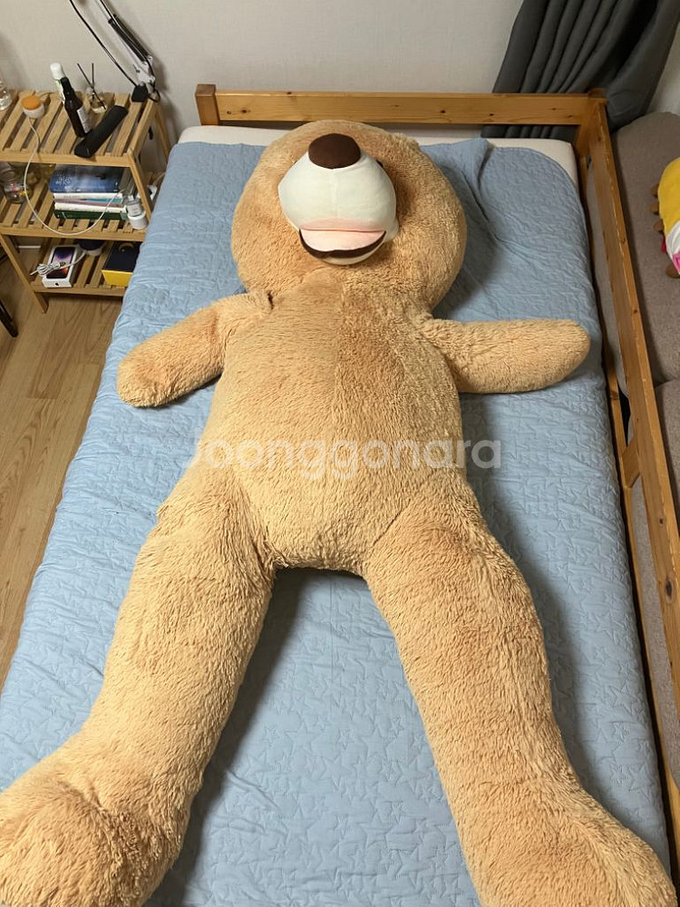 초댜형 곰인형--1