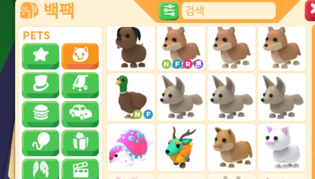 입양하세요 펫 이미지