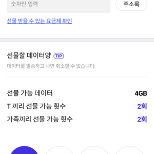 sk데이터 2기가