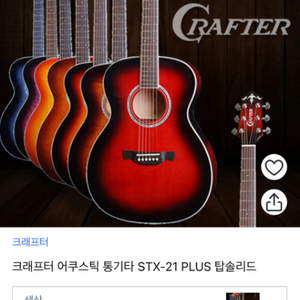 크래프터 기타 stx21 plus