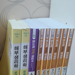 반택포 작업치료사 퍼시픽 국시대비 문제