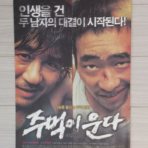 영화전단지 주먹이운다(2005년)