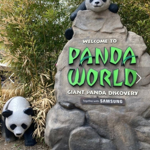 에버랜드 구매 대리 푸바오 굿즈 바오패밀리