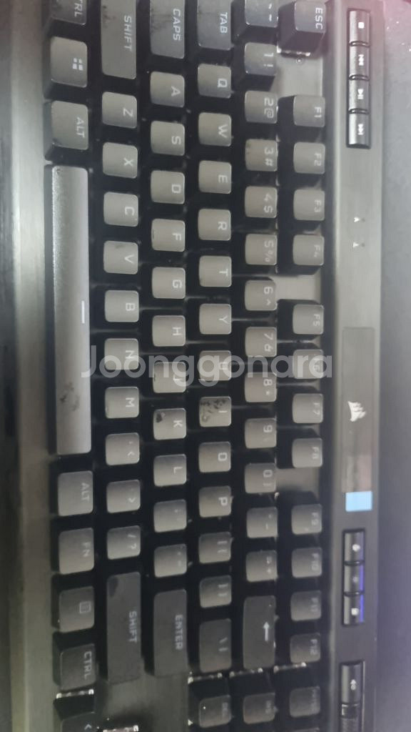 가격인하]커세어 k70 opx tkl 오늘만판매--1