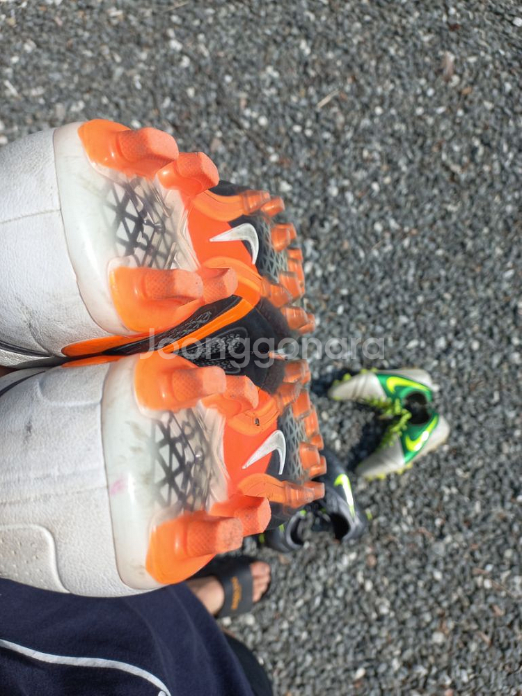 CTR360 마에스트리 3 280사이즈--4
