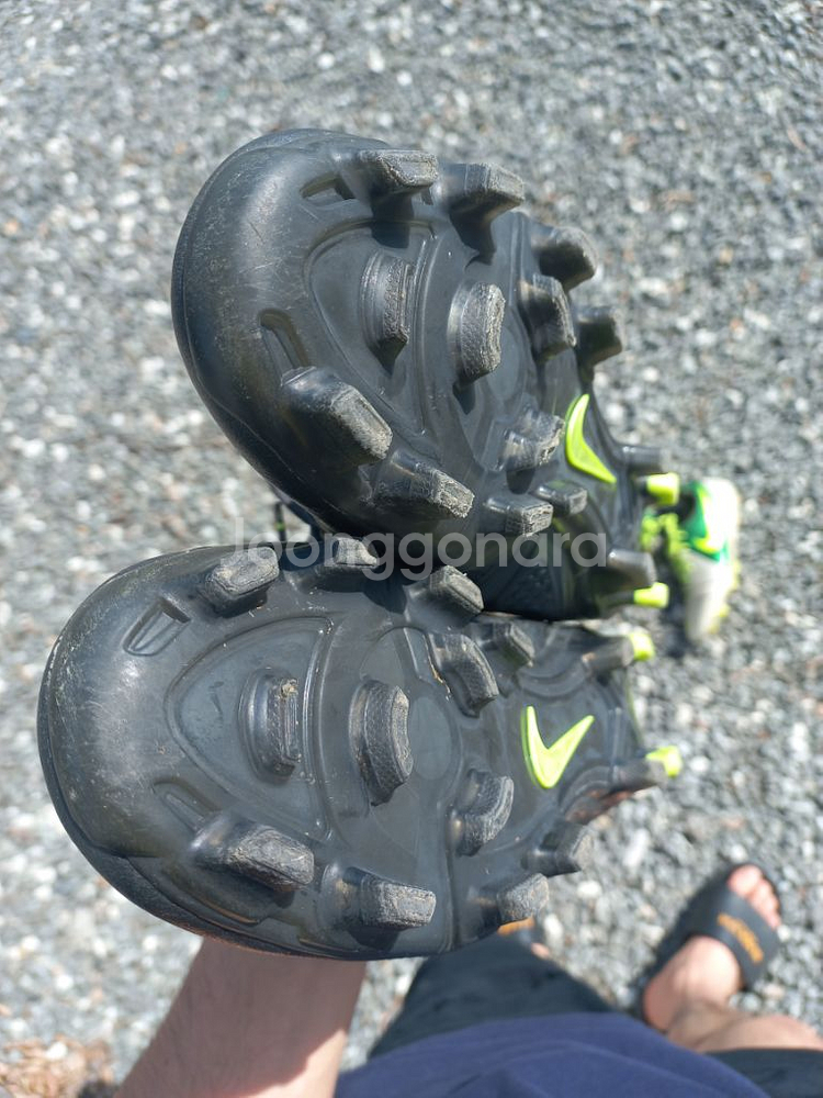 CTR360 마에스트리 3 280사이즈--6