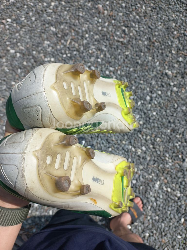 CTR360 마에스트리 3 280사이즈--8