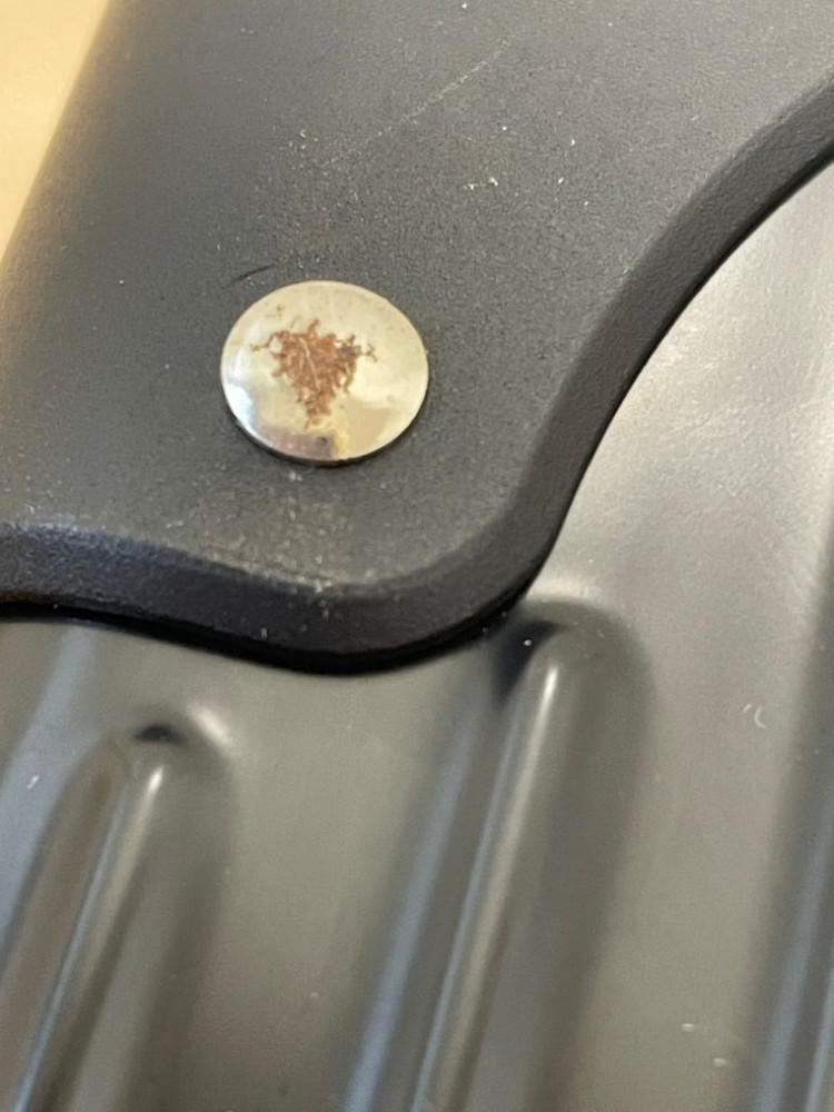 스텔라 서머레디백 (14인치)--9