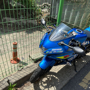 gsx r125 판매합니다 19년식 19xxx 대차네고