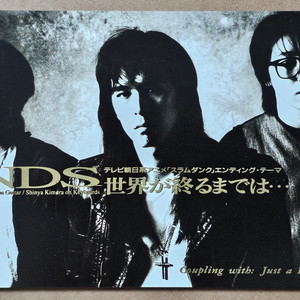 1990년대 일본 가수 WANDS 싱글 CD