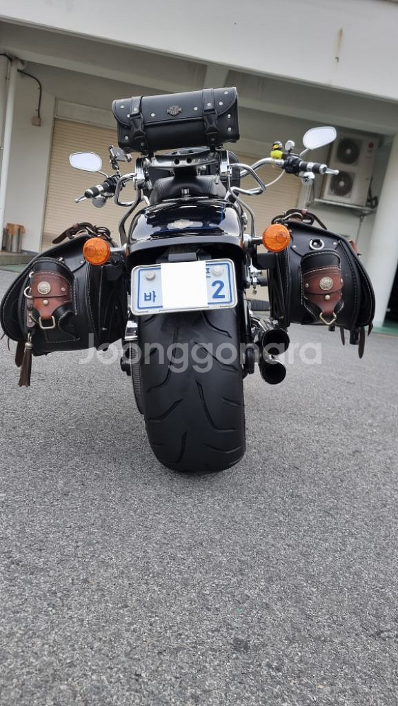 할리데이비슨 팻보이114 19년식--1