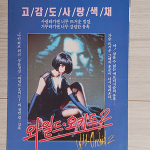 잘만킹 와일드오키드2(1992)전단지(2단)