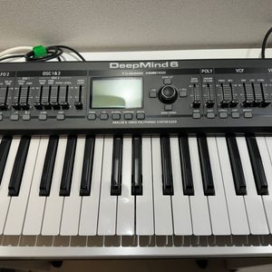 Behringer Deepmind 6 + 방수가방