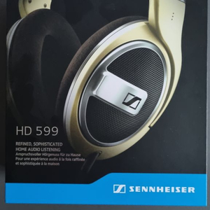 HD 599