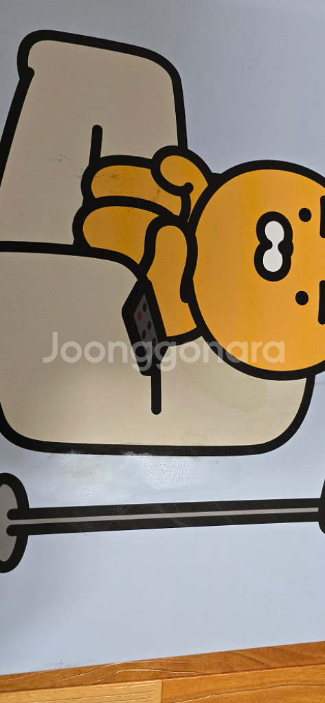 카카오프렌즈 라이언 일러스트 그림 액자--1