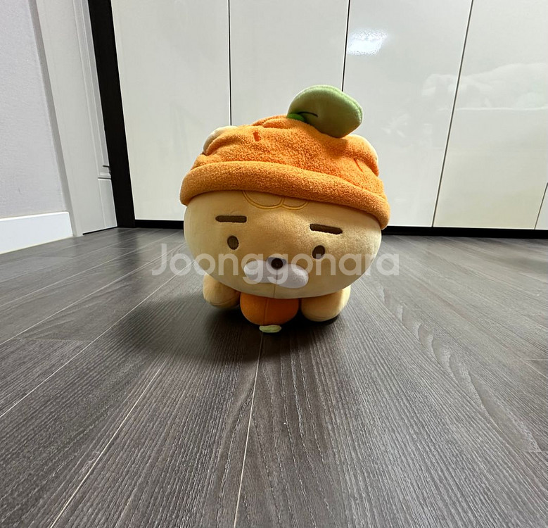 한라봉 라이언 인형--1