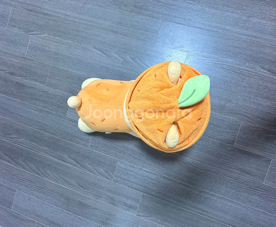 한라봉 라이언 인형--3