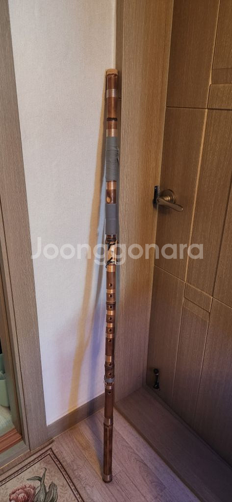 정악대금--0