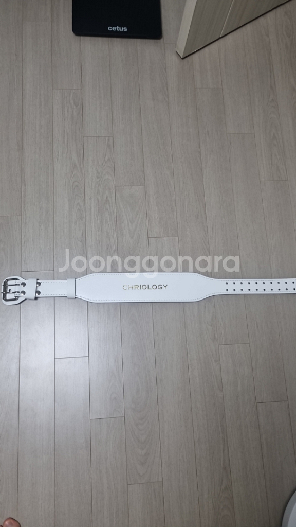 Chronology 헬스벨트--1