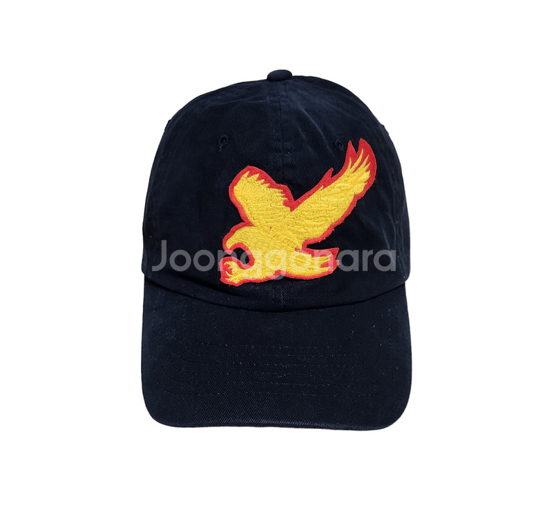 Vintage AC/DC eagle 볼캡--1