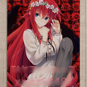 하이스쿨 DxD 태피스트리 팝니다